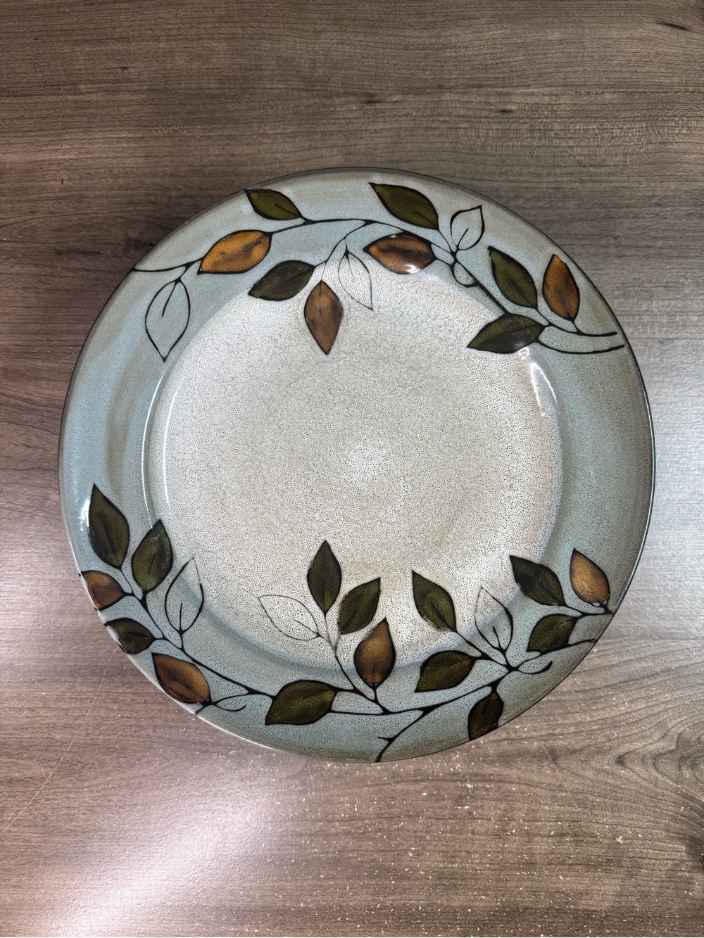 (5) Pfaltzgraff Everyday Rustic Leaves Fall Dinner Plates 11.25”